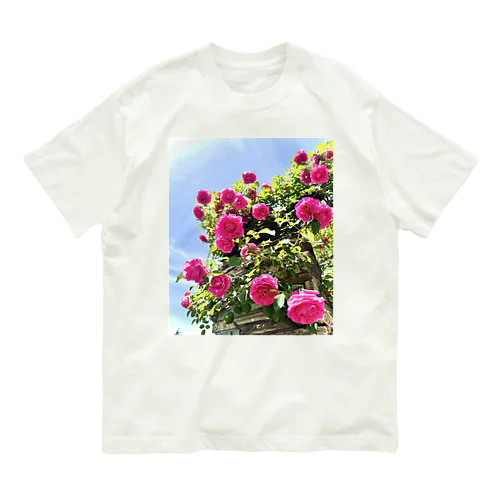 薔薇と青空 オーガニックコットンTシャツ