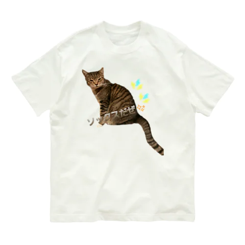 ソックス Organic Cotton T-Shirt