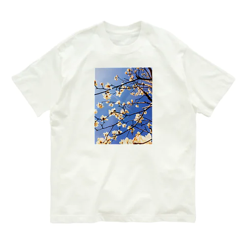 白木蓮 Organic Cotton T-Shirt