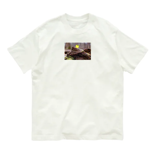 ぽんぢ君ga生えたよ Organic Cotton T-Shirt