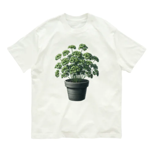 鉢植えのパセリ_240127 オーガニックコットンTシャツ