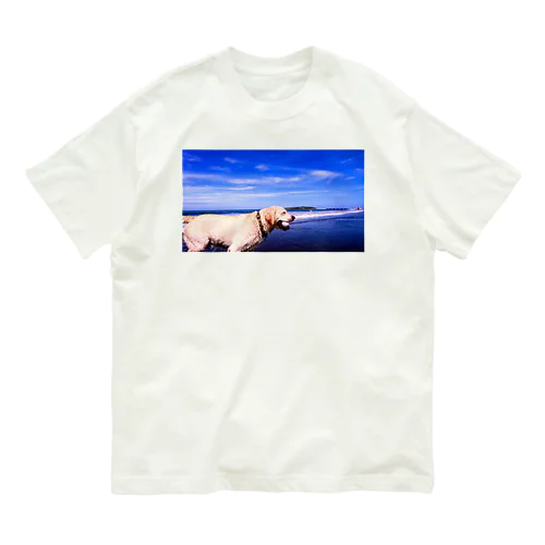 ラブラドール海老蔵 オーガニックコットンTシャツ