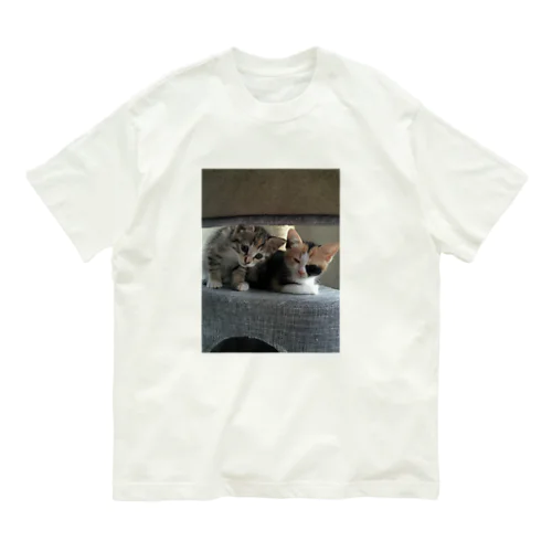 ネコちゃんたち Organic Cotton T-Shirt