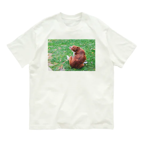 laid back dog in istanbul オーガニックコットンTシャツ