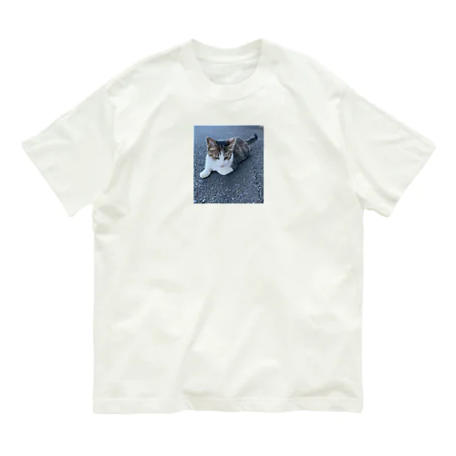 ながしっぼ typeN Organic Cotton T-Shirt