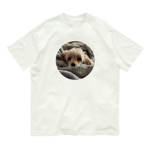 犬　癒し オーガニックコットンTシャツ