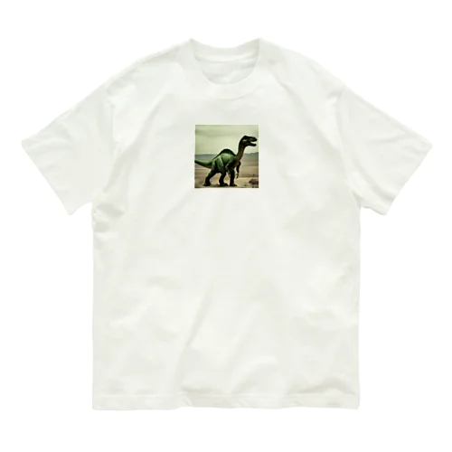 kyoru1_027 オーガニックコットンTシャツ