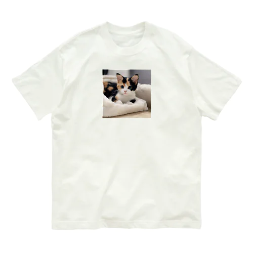 愛らしい子猫ちゃん Organic Cotton T-Shirt