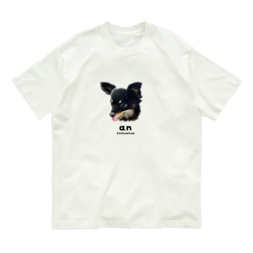 AN オーガニックコットンTシャツ