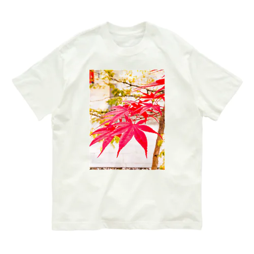 紅葉② オーガニックコットンTシャツ