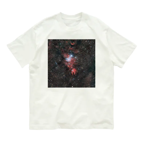 クリスマスツリー星団 オーガニックコットンTシャツ