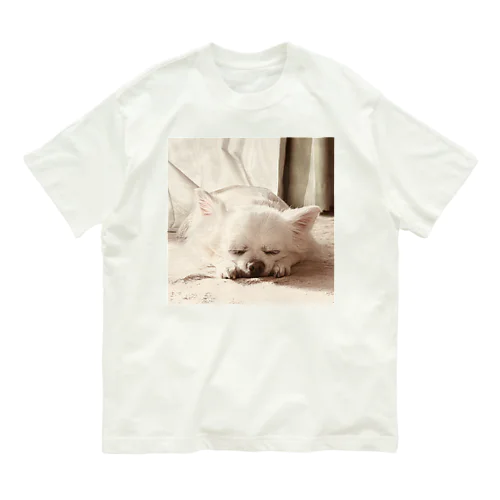 TONO-Sleep オーガニックコットンTシャツ