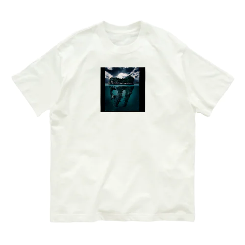 Dinosaur fossils island オーガニックコットンTシャツ