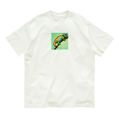 カメレオン Organic Cotton T-Shirt