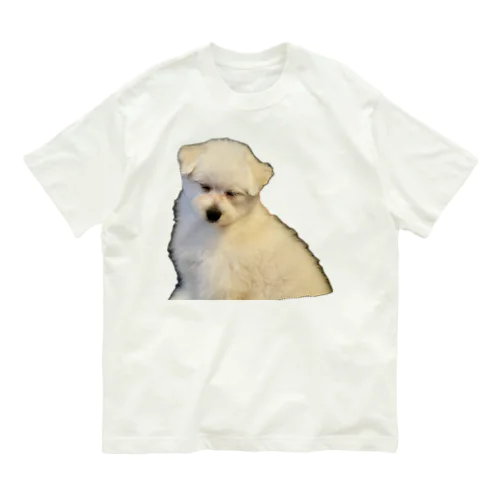 SLEEP DOG オーガニックコットンTシャツ