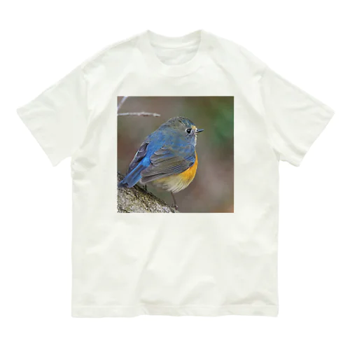 ルリオくん Organic Cotton T-Shirt