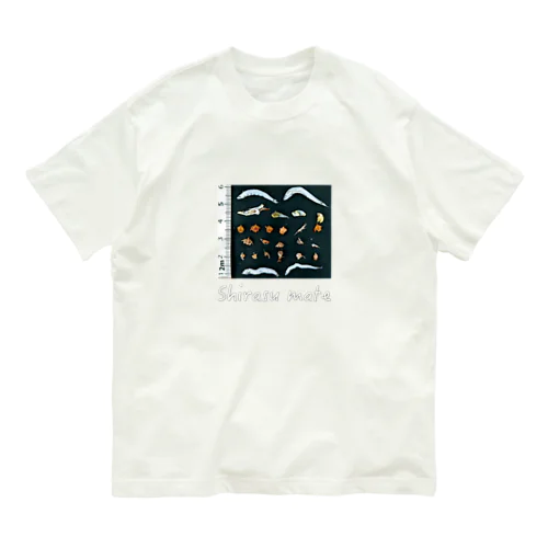 シラスメイト オーガニックコットンTシャツ