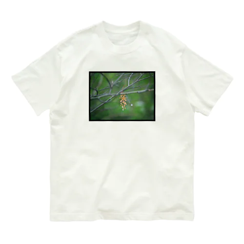 ミモザ Organic Cotton T-Shirt