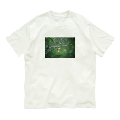 ミモザ (フチなし) Organic Cotton T-Shirt