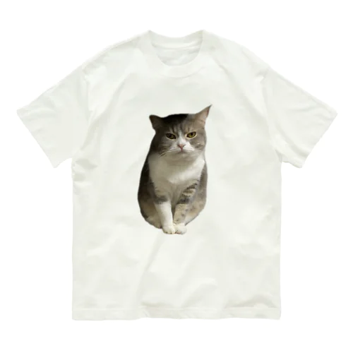 不機嫌な美猫 ミロ姫 Organic Cotton T-Shirt
