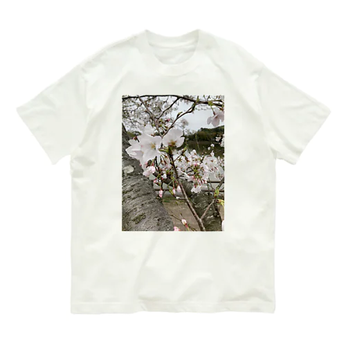 春の顔サクラ オーガニックコットンTシャツ
