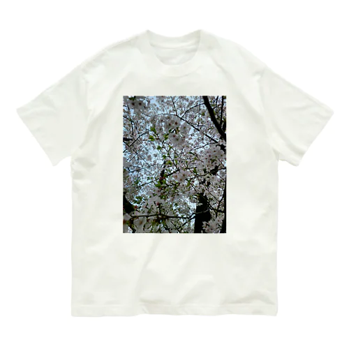 SAKURA オーガニックコットンTシャツ