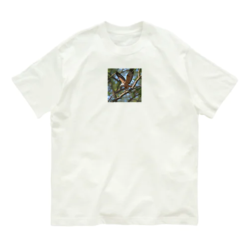 枝から枝へ移動するタカ Organic Cotton T-Shirt