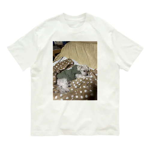 アポロくんです！ Organic Cotton T-Shirt