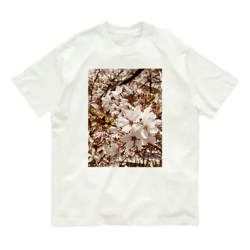 おもいでのなかの桜 オーガニックコットンTシャツ