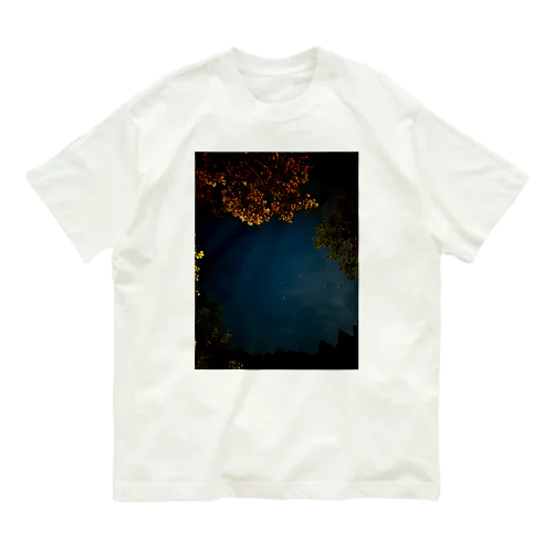 自然の星空 Organic Cotton T-Shirt