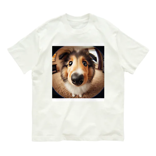 collie Organic Cotton T-Shirt