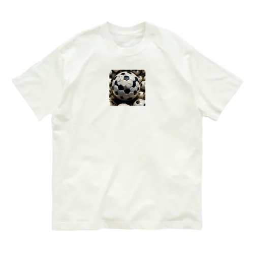 サッカーボール Organic Cotton T-Shirt