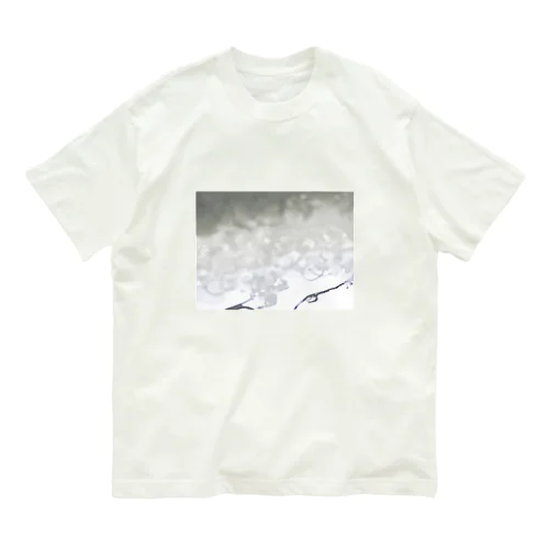 しぶいちゃん Organic Cotton T-Shirt