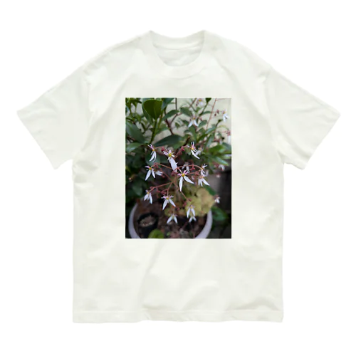 ユキノシタのお花が可愛らしい〜 Organic Cotton T-Shirt