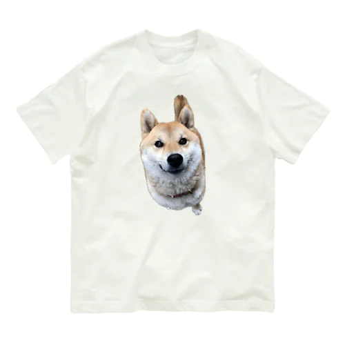 柴犬あかり オーガニックコットンTシャツ