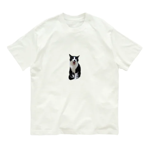 白黒猫のあくび Organic Cotton T-Shirt