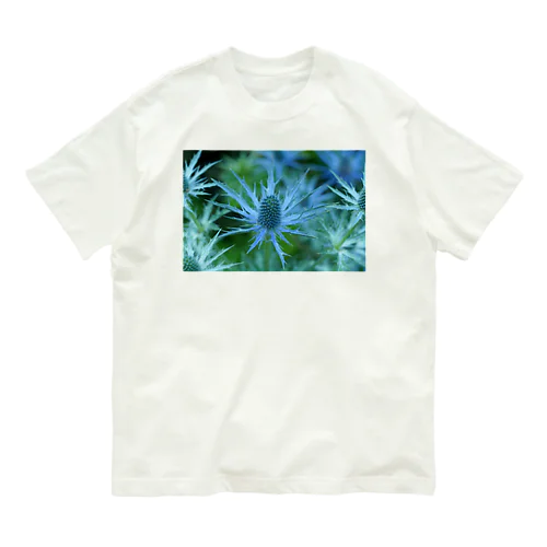 エリンジューム Organic Cotton T-Shirt