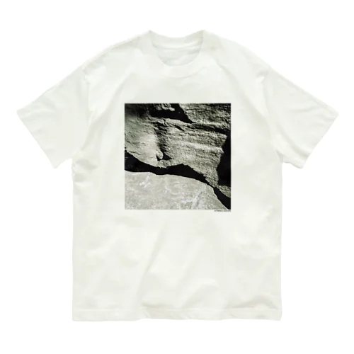 TAKEO SUZUKI 現代アートTシャツ「岩」 オーガニックコットンTシャツ