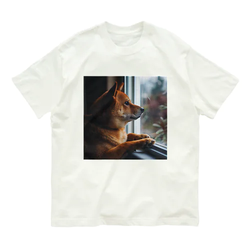 可愛い柴犬　1434 オーガニックコットンTシャツ