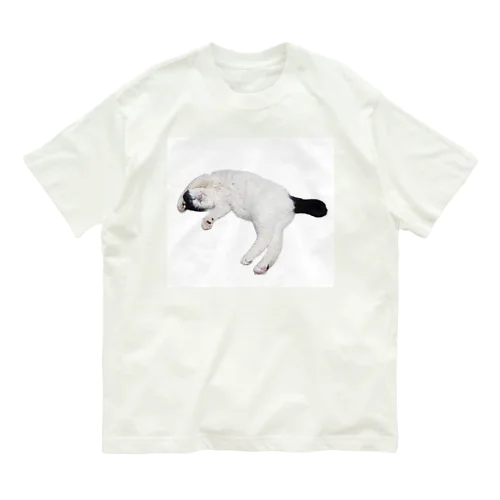 尻尾が短い保護猫 たぬちゃん オーガニックコットンTシャツ