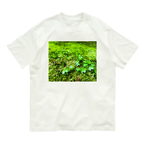 緑の雫 Organic Cotton T-Shirt