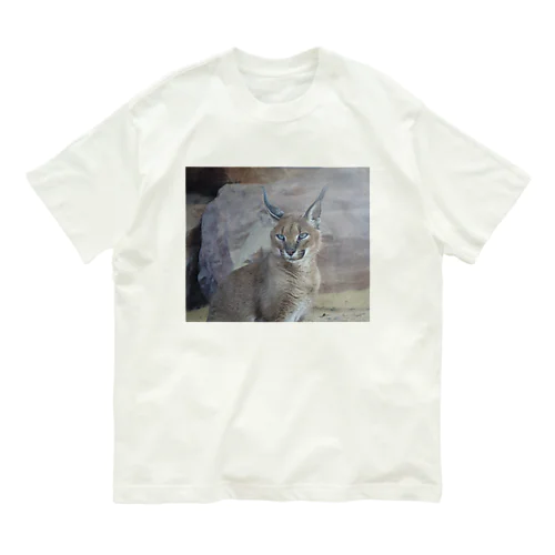 陽だまりのカラカル・カーラちゃん Organic Cotton T-Shirt