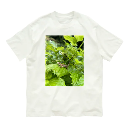 トカゲちゃん Organic Cotton T-Shirt