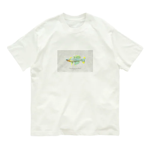 Pseudomugil gertrudae オーガニックコットンTシャツ