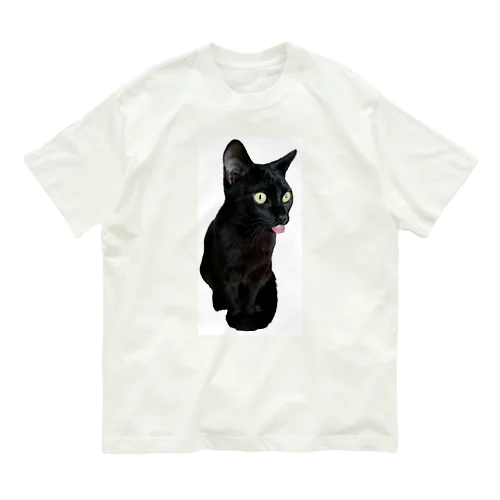 黒猫ちゃん オーガニックコットンTシャツ