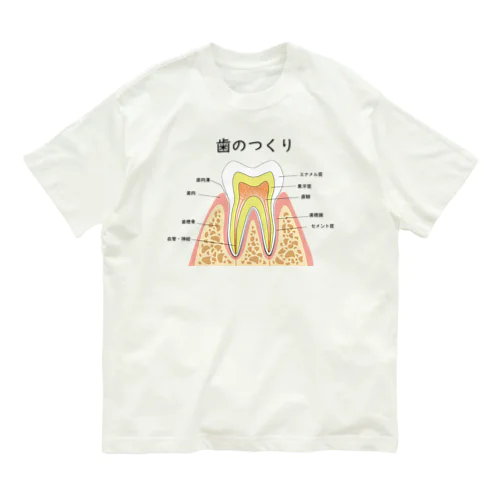 歯のつくり オーガニックコットンTシャツ