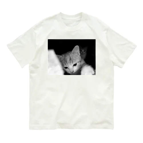 22 Organic Cotton T-Shirt
