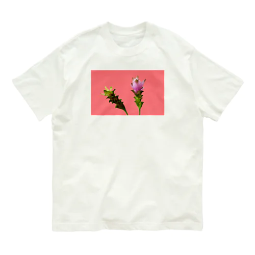 Curcuma alismatifolia -pink オーガニックコットンTシャツ