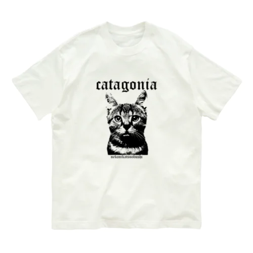 catagonia オーガニックコットンTシャツ