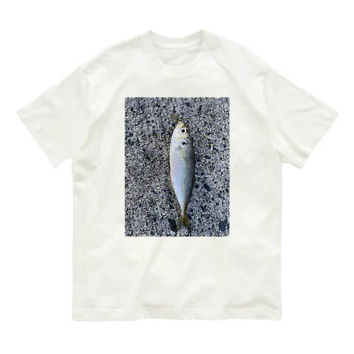 ３月に釣れたアジ Organic Cotton T-Shirt